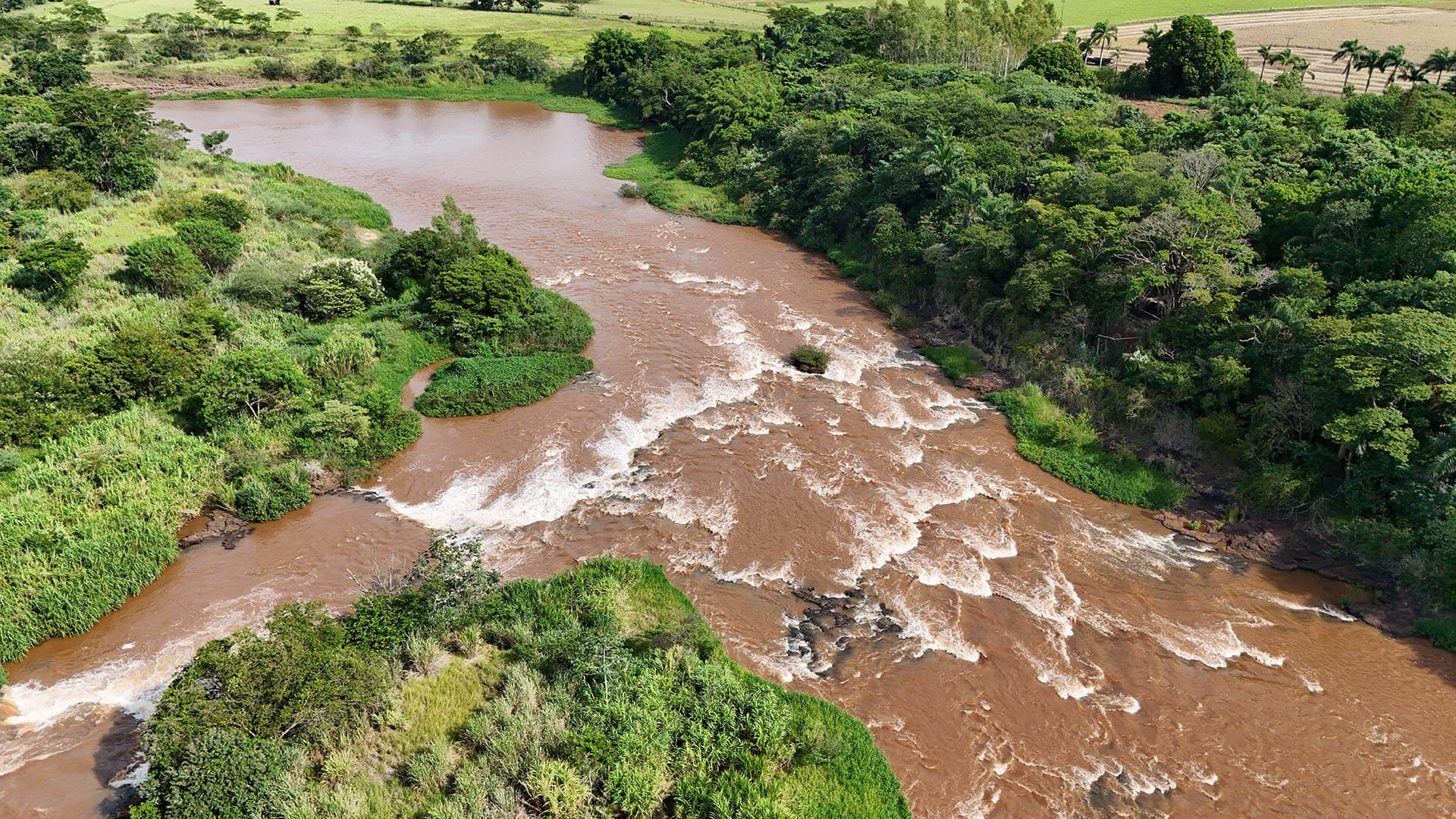 Margem do rio Pirapó com vegetação nativa