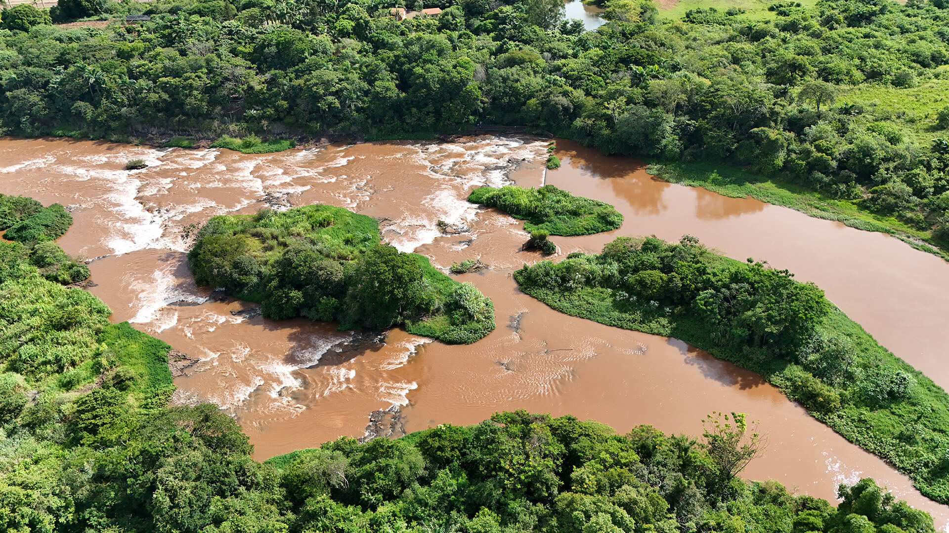 Ilhas de vegetação em meio às corredeiras do rio Pirapó