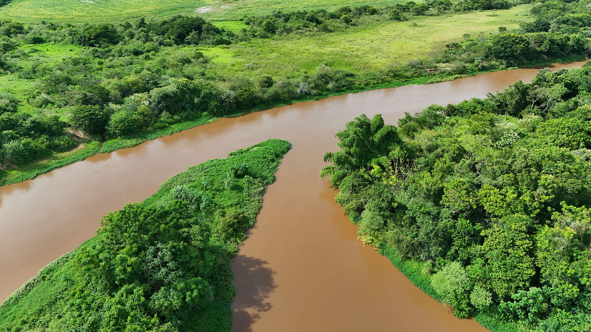 Rio Pirapó cercado por mata ciliar e áreas agrícolas